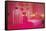 Hot Pink Fantasy Bedroom-null-Framed Stretched Canvas