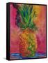 Hot Pink Pineapple-Blenda Tyvoll-Framed Stretched Canvas