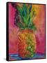 Hot Pink Pineapple-Blenda Tyvoll-Framed Stretched Canvas