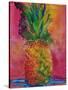 Hot Pink Pineapple-Blenda Tyvoll-Stretched Canvas