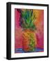 Hot Pink Pineapple-Blenda Tyvoll-Framed Art Print