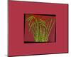 Hot pink tropical Grass-null-Mounted Art Print