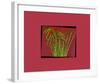 Hot pink tropical Grass-null-Framed Art Print