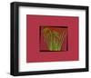 Hot pink tropical Grass-null-Framed Art Print