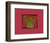 Hot pink tropical Grass-null-Framed Art Print