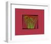 Hot pink tropical Grass-null-Framed Art Print