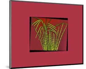 Hot pink tropical Grass-null-Mounted Art Print