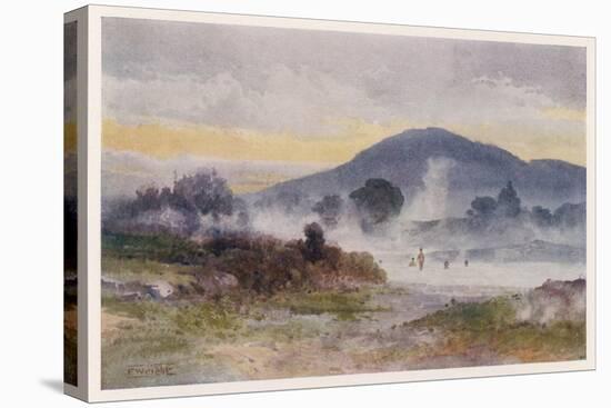 Hot Pools Near Ngongotaha Mountain-F. Wright-Stretched Canvas