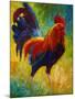 Hot Shot Rooster-Marion Rose-Mounted Giclee Print