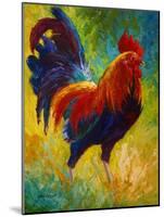 Hot Shot Rooster-Marion Rose-Mounted Giclee Print