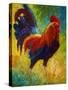 Hot Shot Rooster-Marion Rose-Stretched Canvas