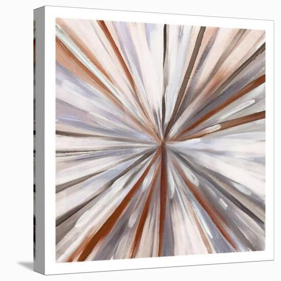 Hot Spin-Boho Hue Studio-Stretched Canvas