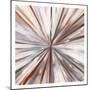 Hot Spin-Boho Hue Studio-Mounted Art Print