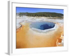 Hot Spring and Colourful Algal Mat at Yellowstone National Park, Wyoming, USA-Mark Taylor-Framed Photographic Print