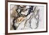 Hot Spring I-Peter Adams-Framed Giclee Print