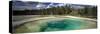 Hot Spring Pool in the Landscape, Beauty Pool, Yellowstone National Park, Wyoming, USA-null-Stretched Canvas