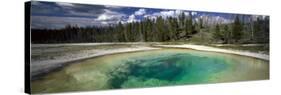 Hot Spring Pool in the Landscape, Beauty Pool, Yellowstone National Park, Wyoming, USA-null-Stretched Canvas