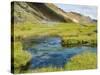 Hot Springs, Landmannalaugar, Iceland, Polar Regions-Ethel Davies-Stretched Canvas