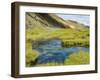 Hot Springs, Landmannalaugar, Iceland, Polar Regions-Ethel Davies-Framed Photographic Print