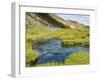 Hot Springs, Landmannalaugar, Iceland, Polar Regions-Ethel Davies-Framed Photographic Print