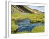 Hot Springs, Landmannalaugar, Iceland, Polar Regions-Ethel Davies-Framed Photographic Print