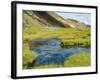 Hot Springs, Landmannalaugar, Iceland, Polar Regions-Ethel Davies-Framed Photographic Print