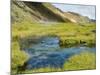 Hot Springs, Landmannalaugar, Iceland, Polar Regions-Ethel Davies-Mounted Photographic Print