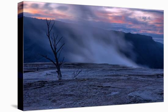 Hot Springs Sunset, Mammoth Hot Springs, Yellowstone, Wyoming-Vincent James-Stretched Canvas