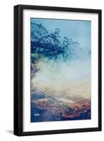 Hot Springs Tree Detail, Yellowstone National Park, Wyoming-Vincent James-Framed Premium Photographic Print