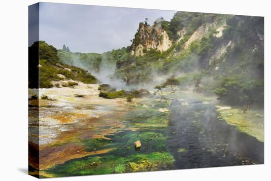 Hot Springs, Waimangu Volcanic Valley, Rotorua, Bay of Plenty, North Island, New Zealand-Rainer Mirau-Stretched Canvas