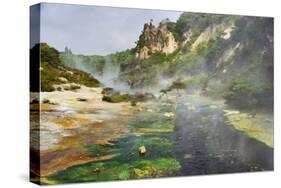 Hot Springs, Waimangu Volcanic Valley, Rotorua, Bay of Plenty, North Island, New Zealand-Rainer Mirau-Stretched Canvas