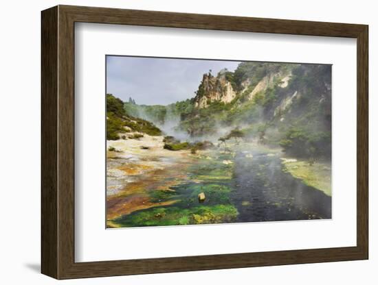 Hot Springs, Waimangu Volcanic Valley, Rotorua, Bay of Plenty, North Island, New Zealand-Rainer Mirau-Framed Photographic Print