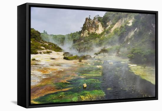 Hot Springs, Waimangu Volcanic Valley, Rotorua, Bay of Plenty, North Island, New Zealand-Rainer Mirau-Framed Stretched Canvas