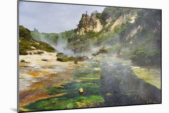 Hot Springs, Waimangu Volcanic Valley, Rotorua, Bay of Plenty, North Island, New Zealand-Rainer Mirau-Mounted Photographic Print