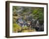 Hot Springs, Waimangu Volcanic Valley, Rotorua, Bay of Plenty, North Island, New Zealand-Rainer Mirau-Framed Photographic Print