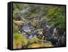 Hot Springs, Waimangu Volcanic Valley, Rotorua, Bay of Plenty, North Island, New Zealand-Rainer Mirau-Framed Stretched Canvas