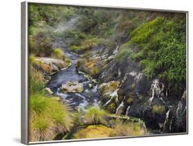 Hot Springs, Waimangu Volcanic Valley, Rotorua, Bay of Plenty, North Island, New Zealand-Rainer Mirau-Framed Photographic Print