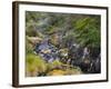 Hot Springs, Waimangu Volcanic Valley, Rotorua, Bay of Plenty, North Island, New Zealand-Rainer Mirau-Framed Photographic Print