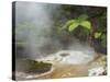 Hot Springs, Waimangu Volcanic Valley, Rotorua, Bay of Plenty, North Island, New Zealand-Rainer Mirau-Stretched Canvas