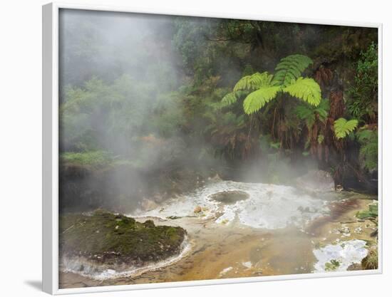 Hot Springs, Waimangu Volcanic Valley, Rotorua, Bay of Plenty, North Island, New Zealand-Rainer Mirau-Framed Photographic Print