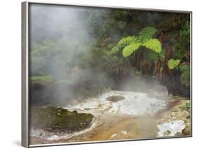 Hot Springs, Waimangu Volcanic Valley, Rotorua, Bay of Plenty, North Island, New Zealand-Rainer Mirau-Framed Photographic Print