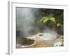 Hot Springs, Waimangu Volcanic Valley, Rotorua, Bay of Plenty, North Island, New Zealand-Rainer Mirau-Framed Photographic Print