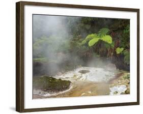 Hot Springs, Waimangu Volcanic Valley, Rotorua, Bay of Plenty, North Island, New Zealand-Rainer Mirau-Framed Photographic Print