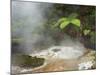 Hot Springs, Waimangu Volcanic Valley, Rotorua, Bay of Plenty, North Island, New Zealand-Rainer Mirau-Mounted Photographic Print
