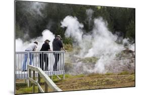 Hot Steam, Craters of the Moon Thermal Area, Taupo, North Island, New Zealand, Pacific-Stuart-Mounted Photographic Print