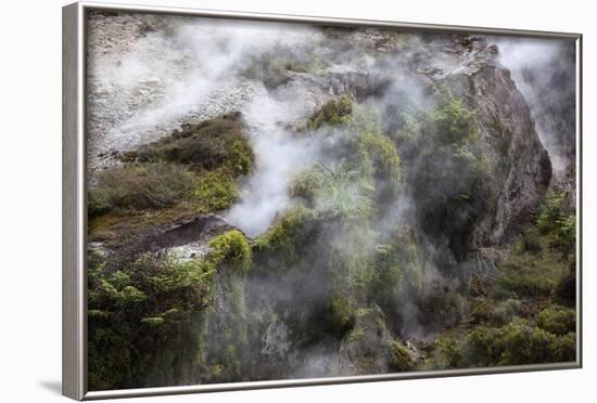 Hot Steam, Craters of the Moon Thermal Area, Taupo, North Island, New Zealand, Pacific-Stuart-Framed Photographic Print