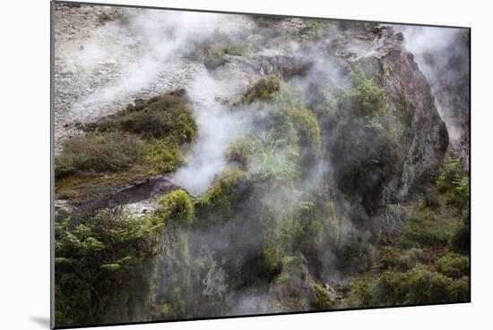 Hot Steam, Craters of the Moon Thermal Area, Taupo, North Island, New Zealand, Pacific-Stuart-Mounted Photographic Print