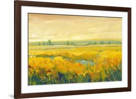 Hot Summer Day II-Tim O'toole-Framed Art Print