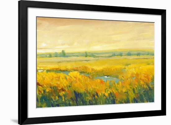 Hot Summer Day II-Tim O'toole-Framed Art Print