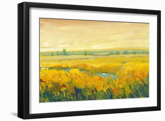 Hot Summer Day II-Tim O'toole-Framed Art Print